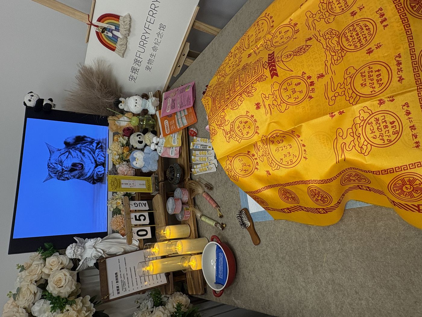需要提前准备好这些