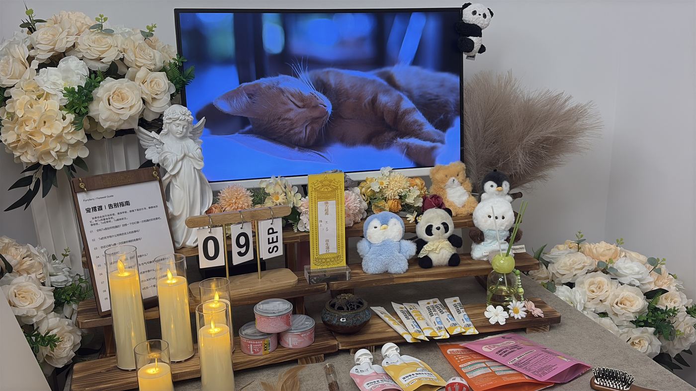 资质与实地考察