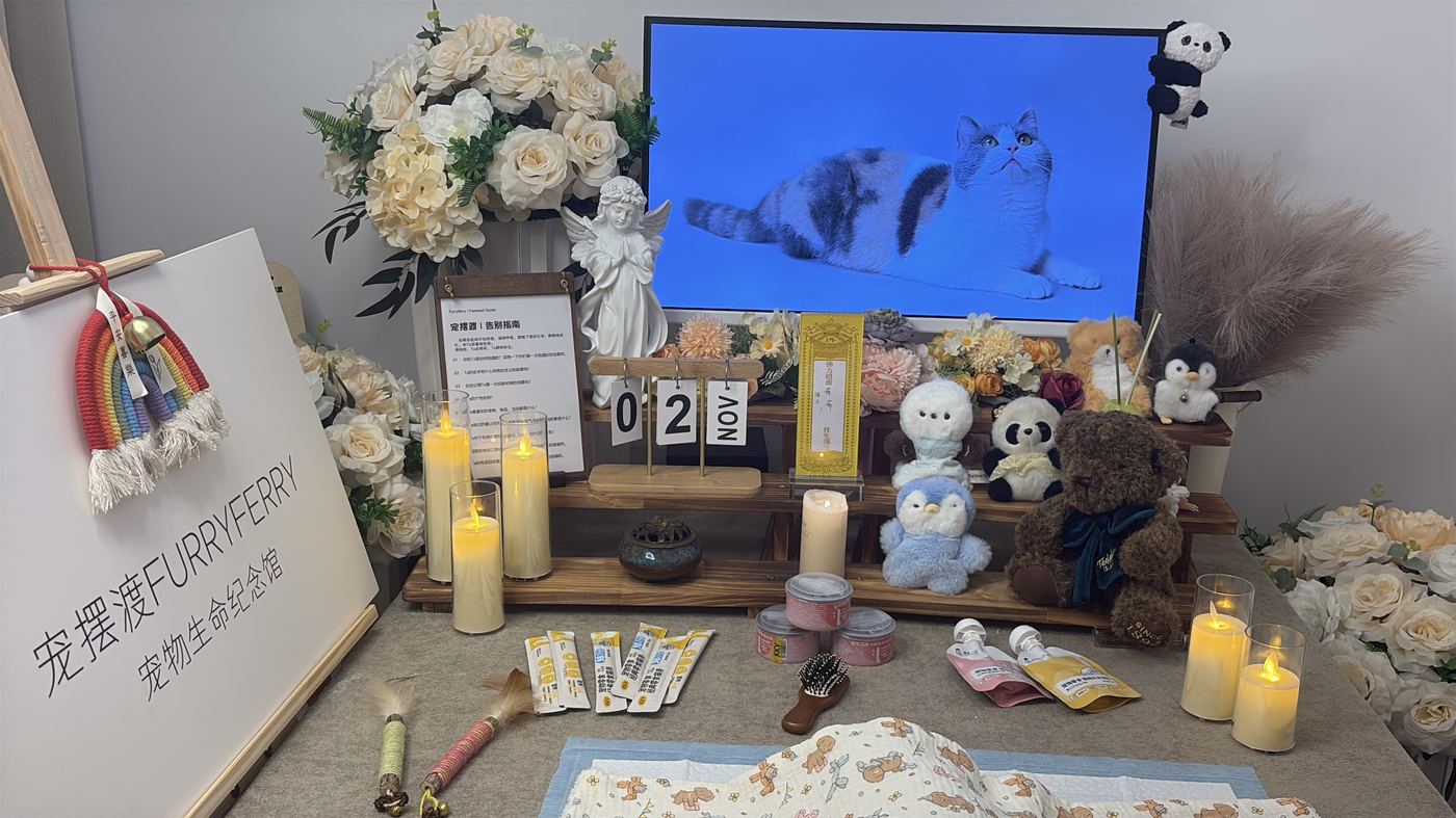 第三看：细节与人情